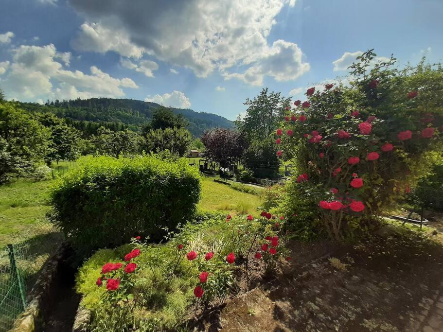 Chez Vovone 3 Etoiles Clevacances Saulxures-sur-Moselotte Exterior photo