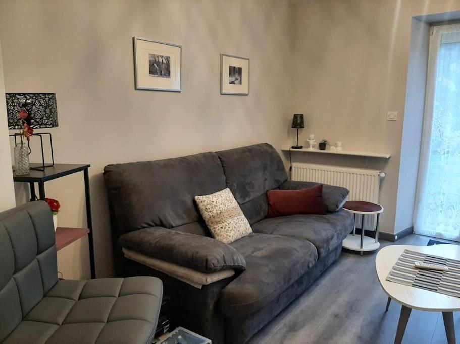 Chez Vovone 3 Etoiles Clevacances Saulxures-sur-Moselotte Exterior photo