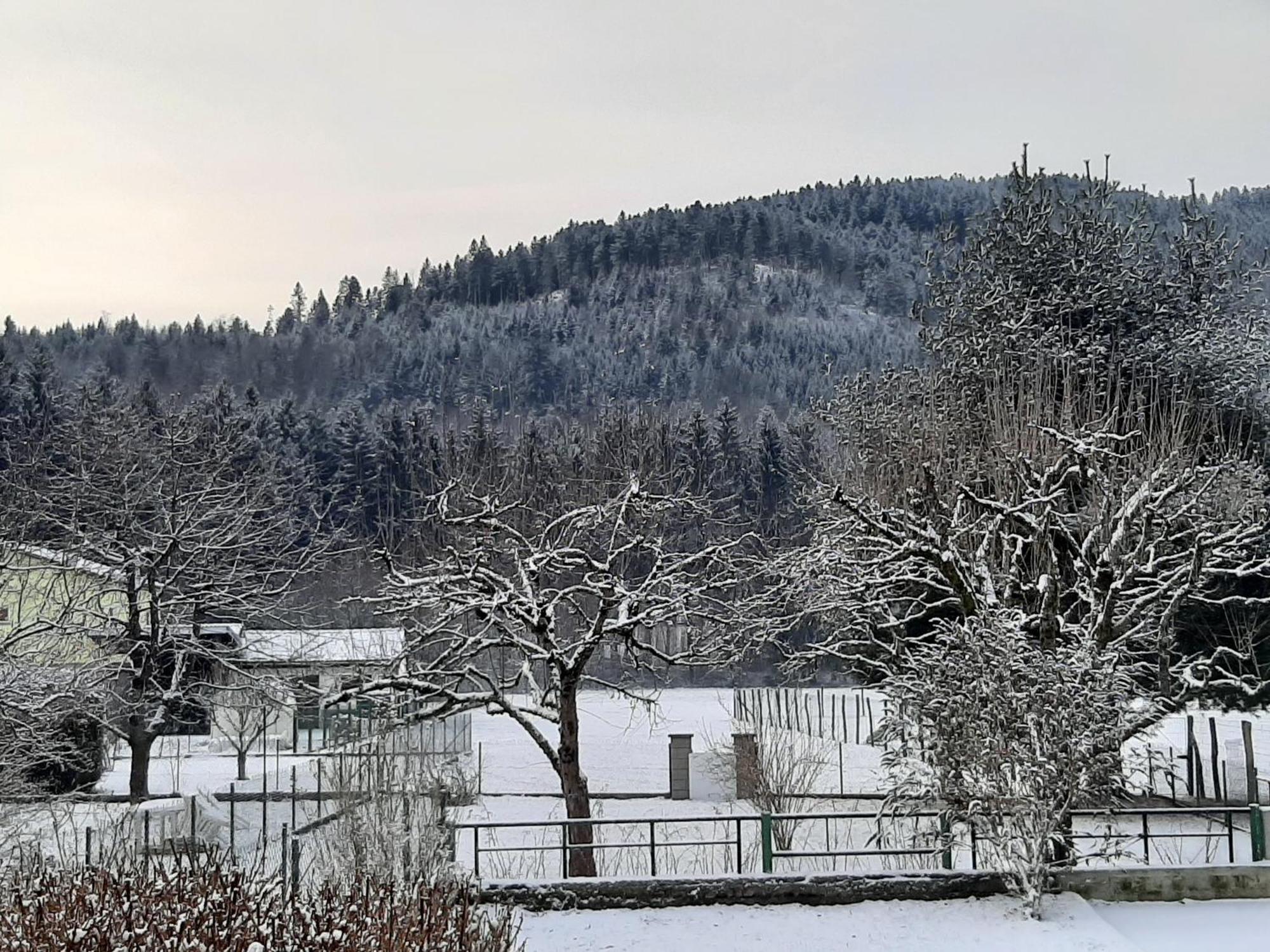Chez Vovone 3 Etoiles Clevacances Saulxures-sur-Moselotte Exterior photo